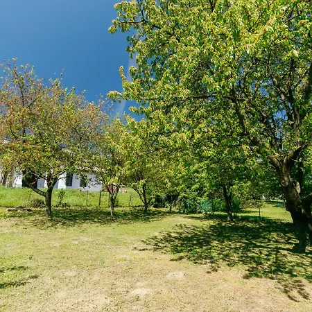 Cherry By Interhome *