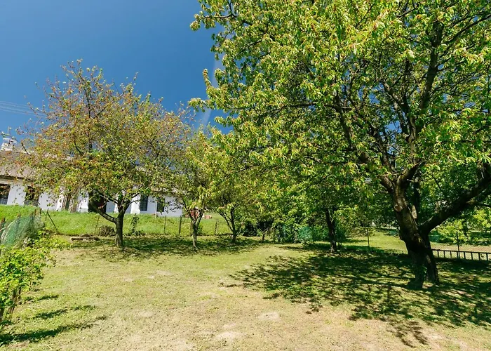 Cherry By Interhome *